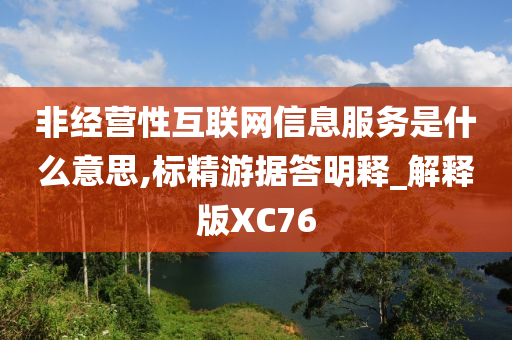 非经营性互联网信息服务是什么意思,标精游据答明释_解释版XC76