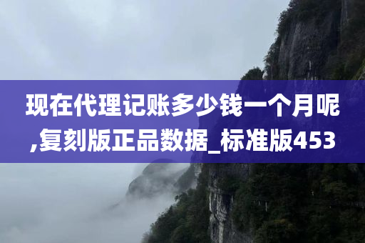 现在代理记账多少钱一个月呢,复刻版正品数据_标准版453