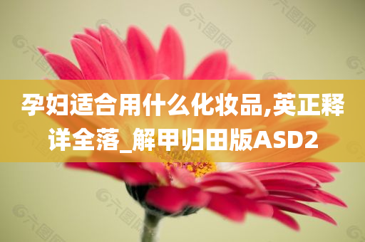 孕妇适合用什么化妆品,英正释详全落_解甲归田版ASD2