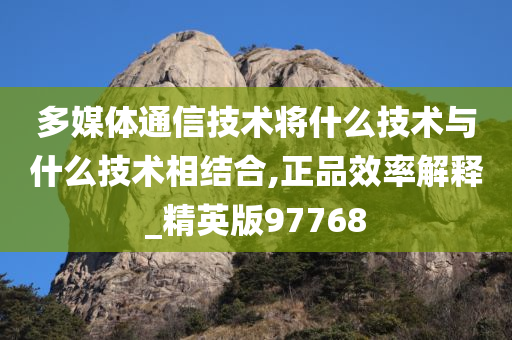 多媒体通信技术将什么技术与什么技术相结合,正品效率解释_精英版97768