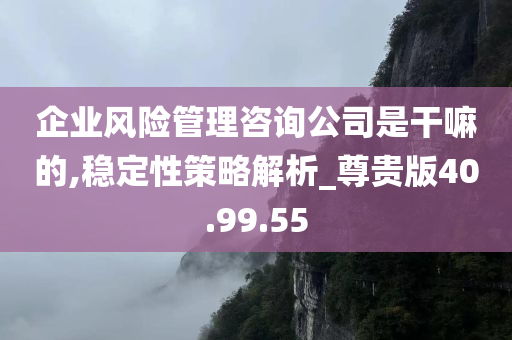 企业风险管理咨询公司是干嘛的,稳定性策略解析_尊贵版40.99.55