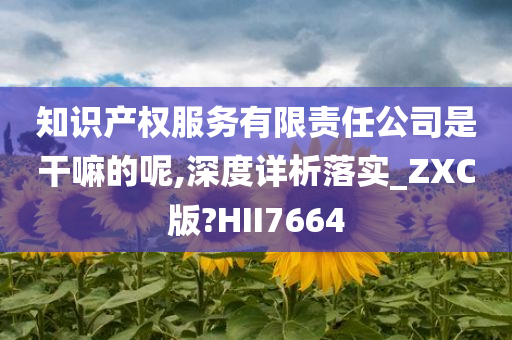 知识产权服务有限责任公司是干嘛的呢,深度详析落实_ZXC版?HII7664