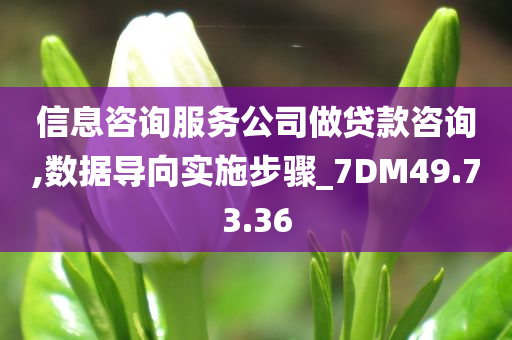 信息咨询服务公司做贷款咨询,数据导向实施步骤_7DM49.73.36