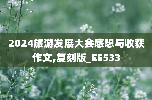 2024旅游发展大会感想与收获作文,复刻版_EE533