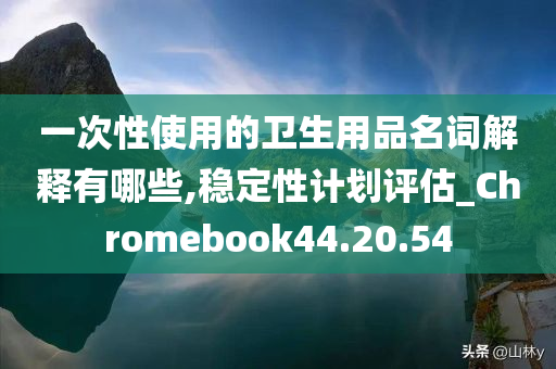 一次性使用的卫生用品名词解释有哪些,稳定性计划评估_Chromebook44.20.54