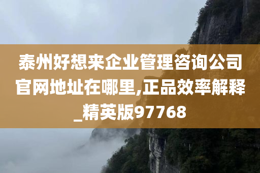 泰州好想来企业管理咨询公司官网地址在哪里,正品效率解释_精英版97768