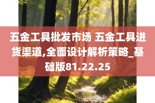 五金工具批发市场 五金工具进货渠道,全面设计解析策略_基础版81.22.25