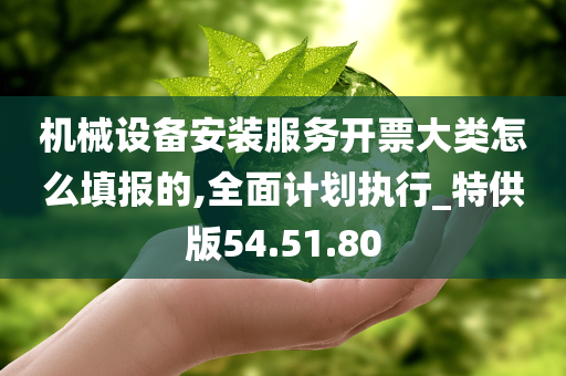 机械设备安装服务开票大类怎么填报的,全面计划执行_特供版54.51.80