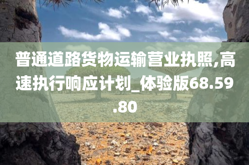 普通道路货物运输营业执照,高速执行响应计划_体验版68.59.80