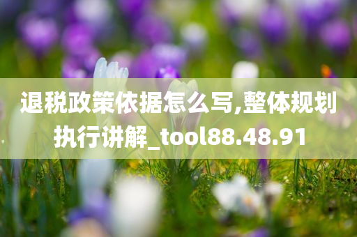 退税政策依据怎么写,整体规划执行讲解_tool88.48.91