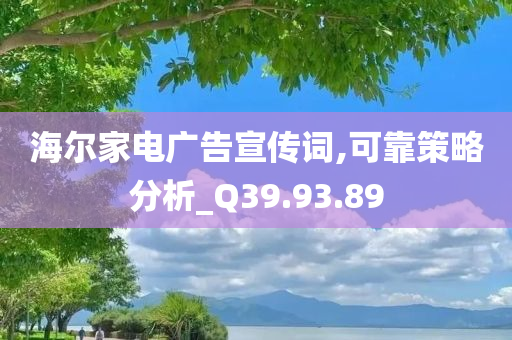 海尔家电广告宣传词,可靠策略分析_Q39.93.89