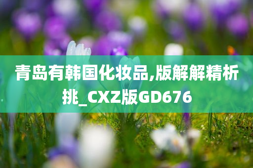 青岛有韩国化妆品,版解解精析挑_CXZ版GD676