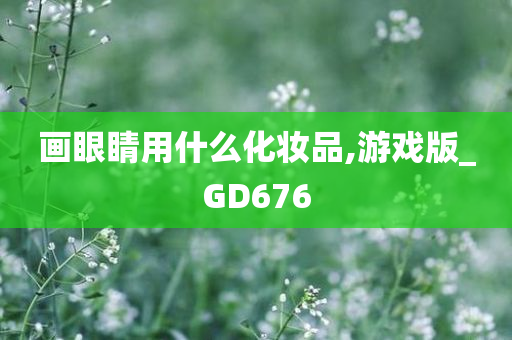 画眼睛用什么化妆品,游戏版_GD676