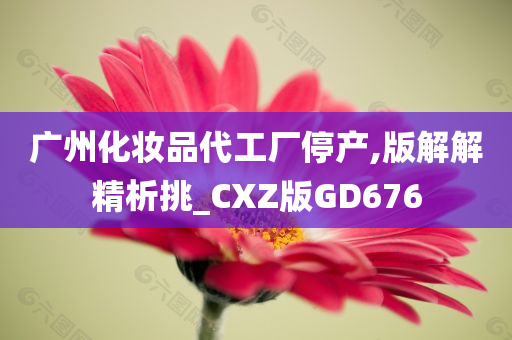 广州化妆品代工厂停产,版解解精析挑_CXZ版GD676