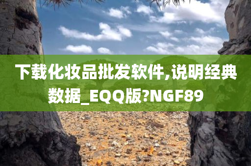 下载化妆品批发软件,说明经典数据_EQQ版?NGF89