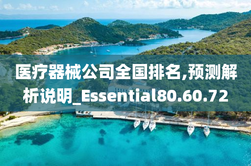 医疗器械公司全国排名,预测解析说明_Essential80.60.72