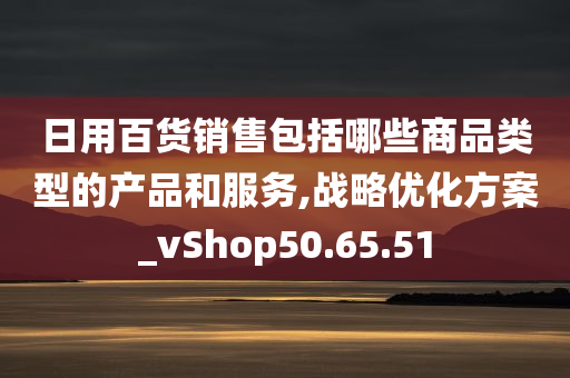 日用百货销售包括哪些商品类型的产品和服务,战略优化方案_vShop50.65.51