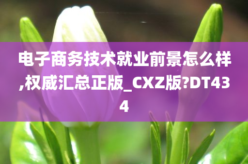 电子商务技术就业前景怎么样,权威汇总正版_CXZ版?DT434