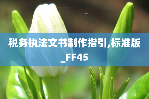 税务执法文书制作指引,标准版_FF45