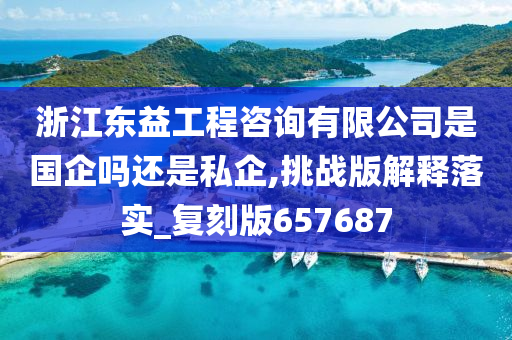 浙江东益工程咨询有限公司是国企吗还是私企,挑战版解释落实_复刻版657687