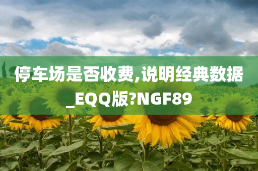 停车场是否收费,说明经典数据_EQQ版?NGF89