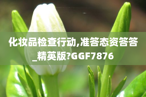 化妆品检查行动,准答态资答答_精英版?GGF7876