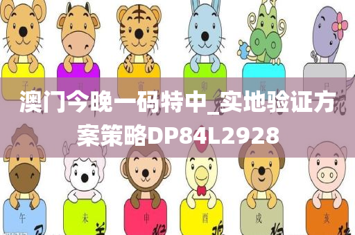 澳门今晚一码特中_实地验证方案策略DP84L2928