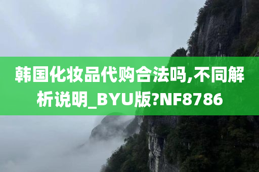 韩国化妆品代购合法吗,不同解析说明_BYU版?NF8786