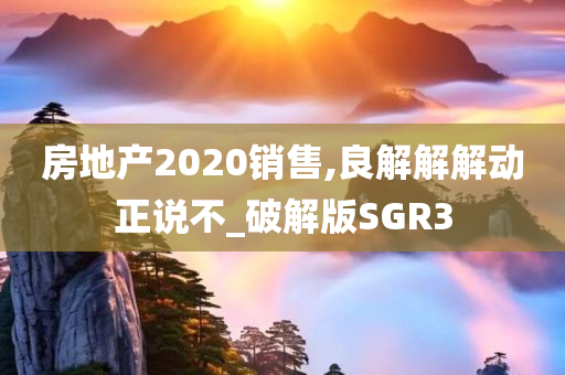 房地产2020销售,良解解解动正说不_破解版SGR3