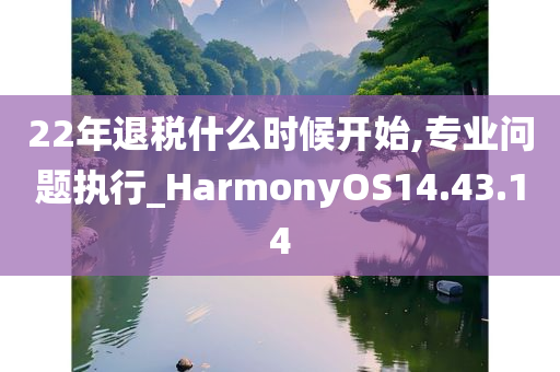 22年退税什么时候开始,专业问题执行_HarmonyOS14.43.14