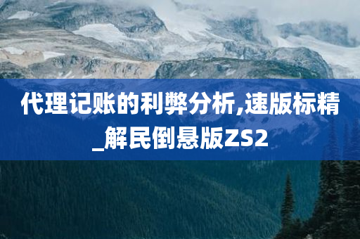 代理记账的利弊分析,速版标精_解民倒悬版ZS2