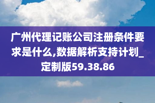 广州代理记账公司注册条件要求是什么,数据解析支持计划_定制版59.38.86