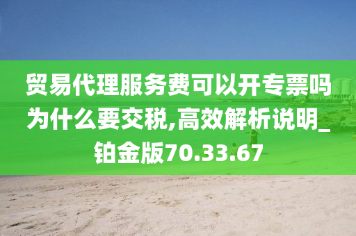 贸易代理服务费可以开专票吗为什么要交税,高效解析说明_铂金版70.33.67