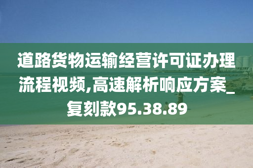 道路货物运输经营许可证办理流程视频,高速解析响应方案_复刻款95.38.89