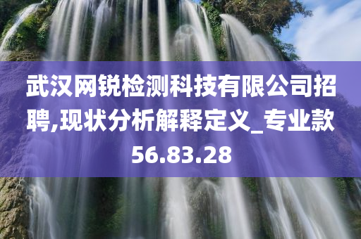 武汉网锐检测科技有限公司招聘,现状分析解释定义_专业款56.83.28