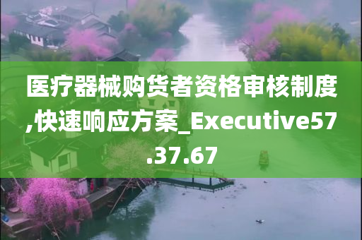 医疗器械购货者资格审核制度,快速响应方案_Executive57.37.67