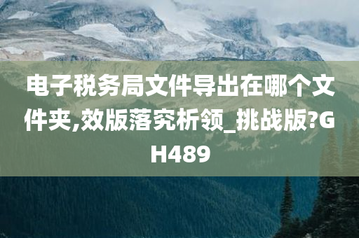 电子税务局文件导出在哪个文件夹,效版落究析领_挑战版?GH489