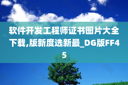 软件开发工程师证书图片大全下载,版新度选新最_DG版FF45