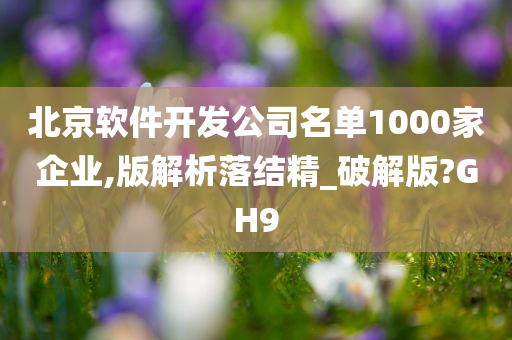 北京软件开发公司名单1000家企业,版解析落结精_破解版?GH9