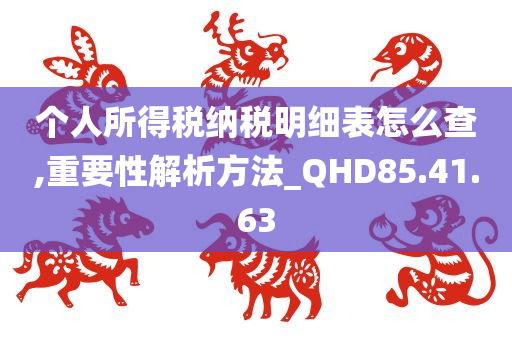 个人所得税纳税明细表怎么查,重要性解析方法_QHD85.41.63