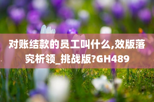 对账结款的员工叫什么,效版落究析领_挑战版?GH489