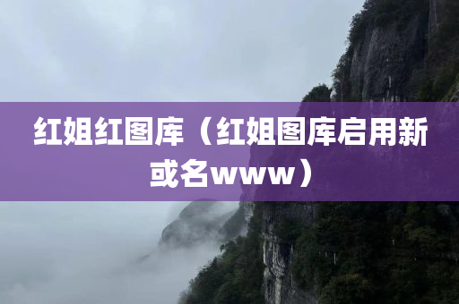 红姐红图库（红姐图库启用新或名www）