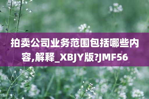 拍卖公司业务范围包括哪些内容,解释_XBJY版?JMF56