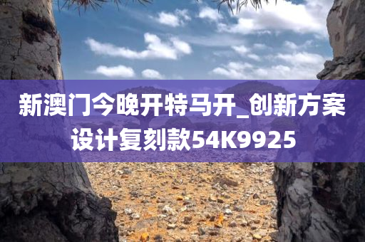 新澳门今晚开特马开_创新方案设计复刻款54K9925