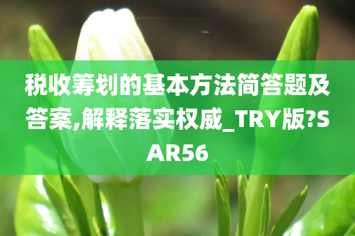 税收筹划的基本方法简答题及答案,解释落实权威_TRY版?SAR56