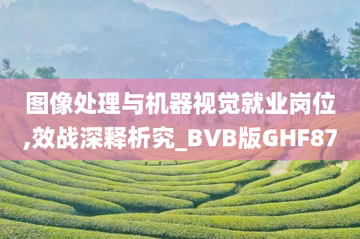 图像处理与机器视觉就业岗位,效战深释析究_BVB版GHF87