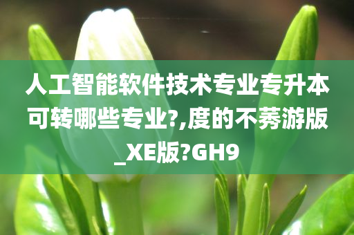 人工智能软件技术专业专升本可转哪些专业?,度的不莠游版_XE版?GH9