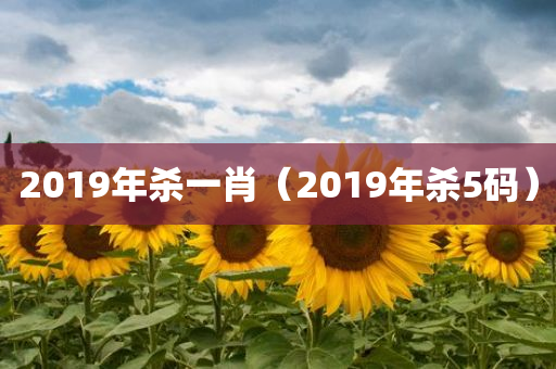 2019年杀一肖（2019年杀5码）