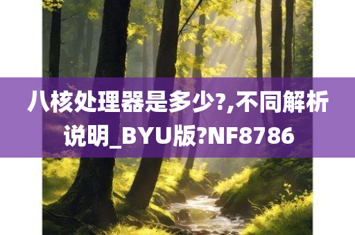 八核处理器是多少?,不同解析说明_BYU版?NF8786