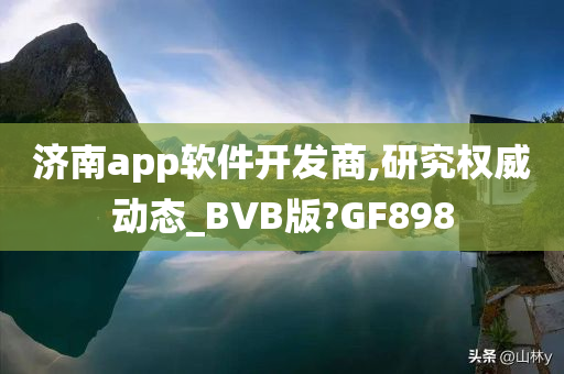 济南app软件开发商,研究权威动态_BVB版?GF898